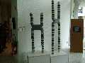 Des chromosomes